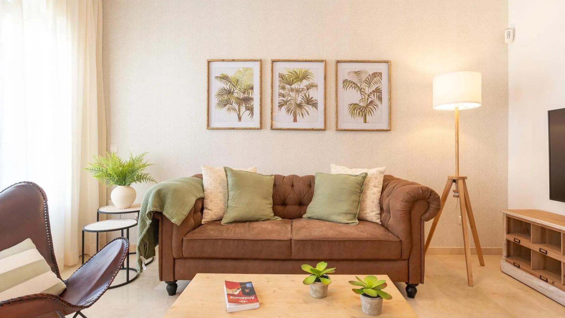 Apartment & Pool In Malaga City Center